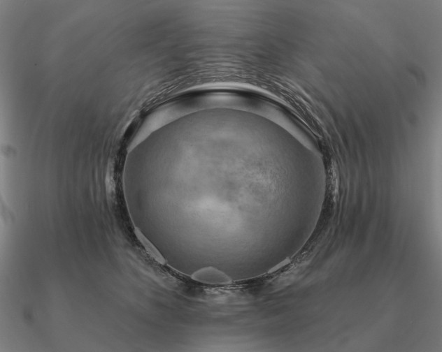 X0000090930516200708061605