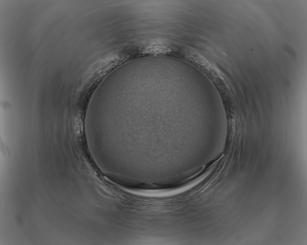 X0000090930517200708061605