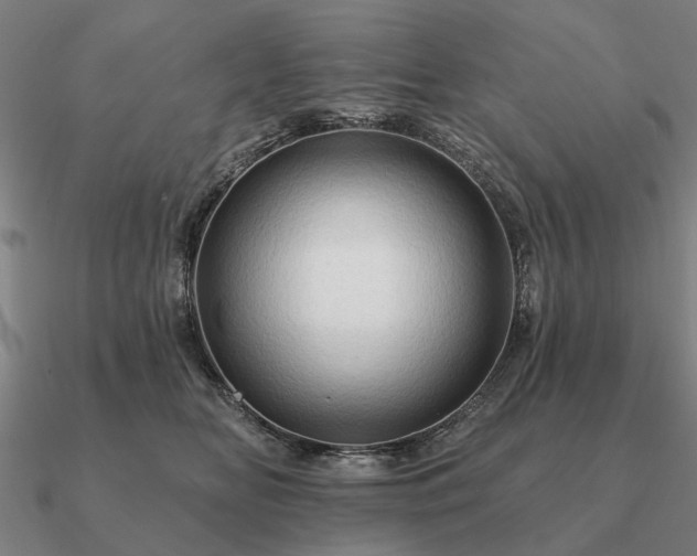 X0000090930518200708061605