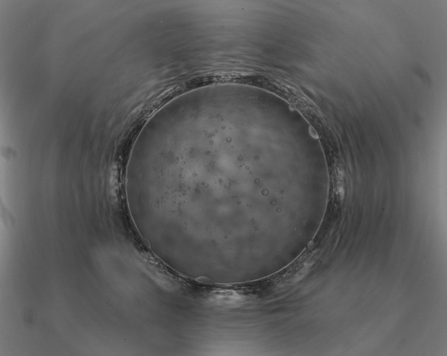 X0000090930519200708061605