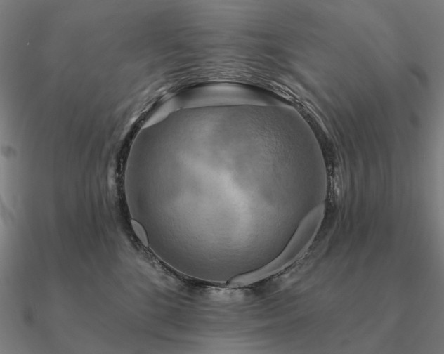 X0000090930520200708061605