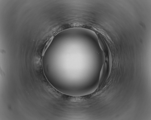 X0000090930521200708061605