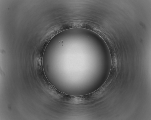 X0000090930522200708061605