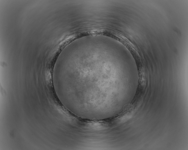 X0000090930523200708061605