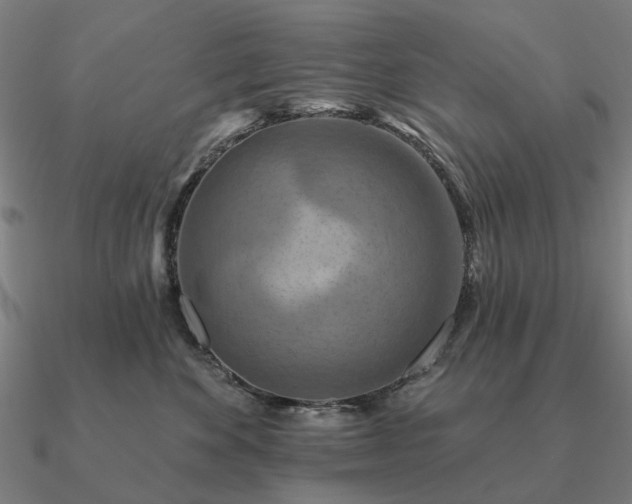 X0000090930524200708061605