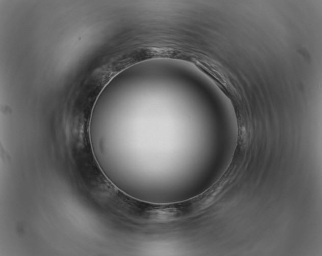 X0000090930525200708061605