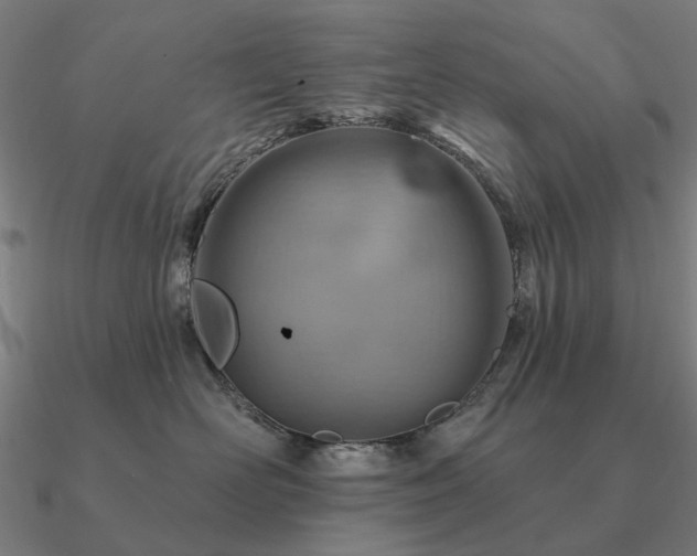 X0000090930526200708061605