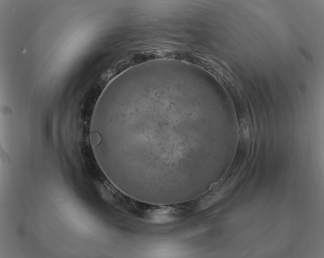 X0000090930527200708061605