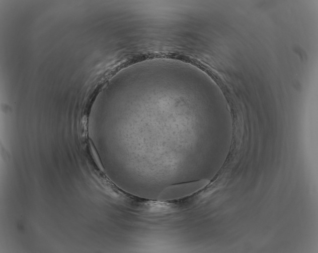 X0000090930528200708061605