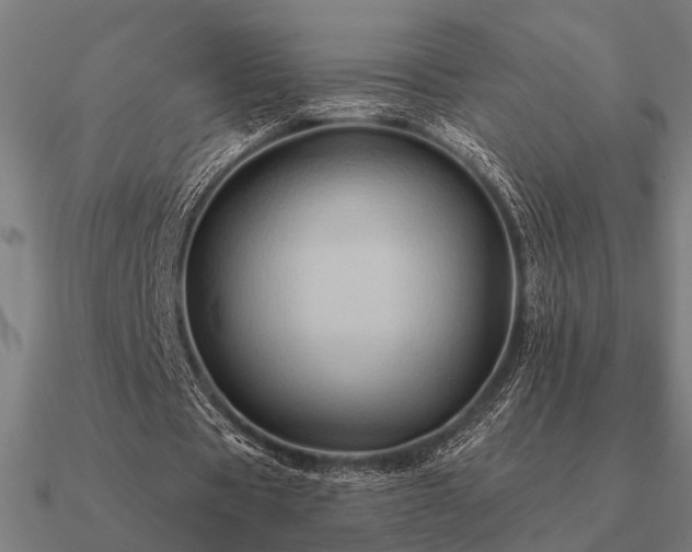 X0000090930529200708061605