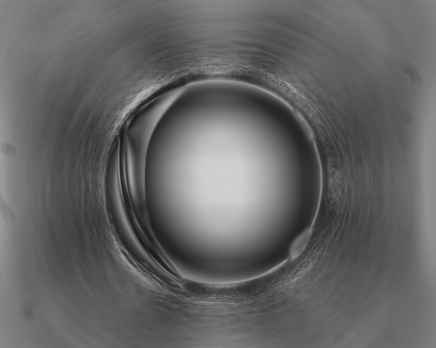 X0000090930530200708061605