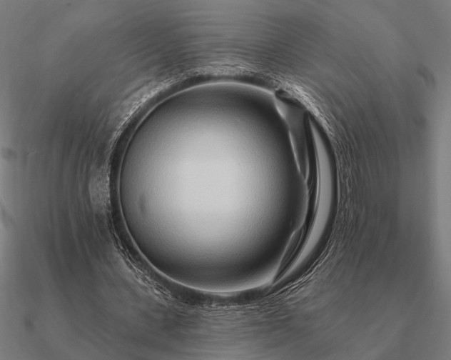 X0000090930531200708061605