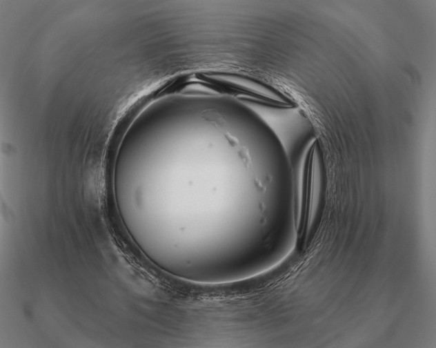 X0000090930532200708061605