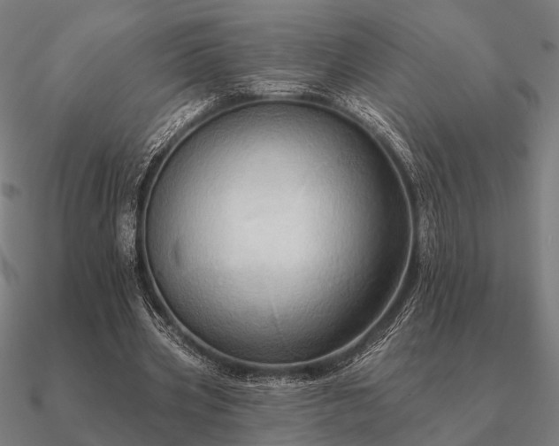 X0000090930533200708061605