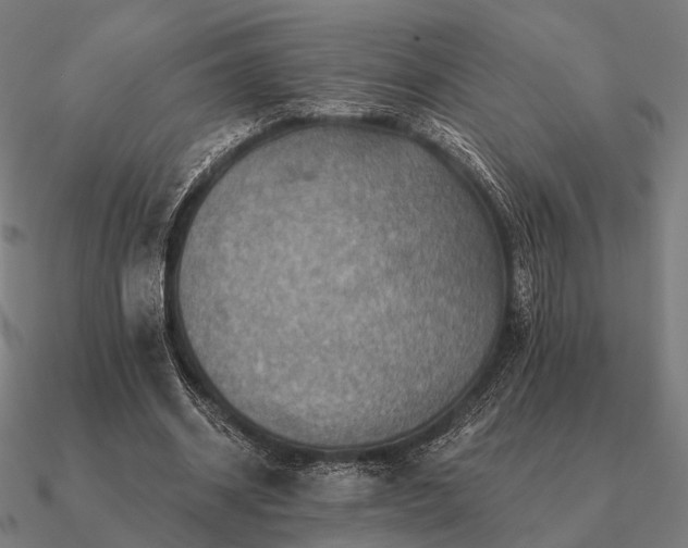 X0000090930534200708061605