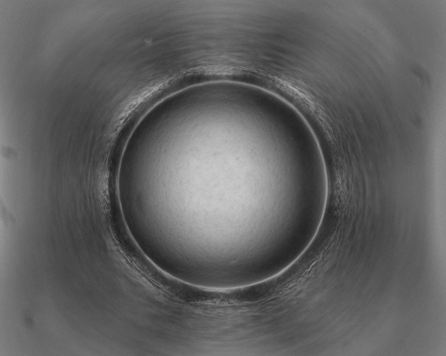 X0000090930535200708061605