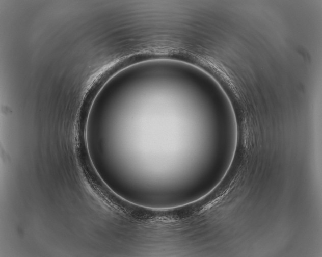 X0000090930536200708061605