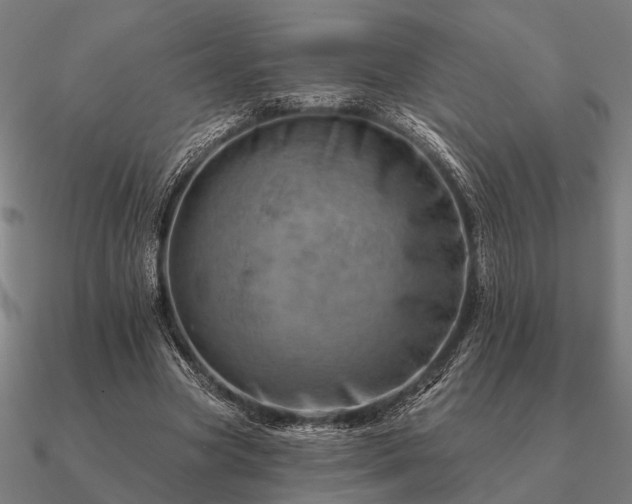 X0000090930537200708061605