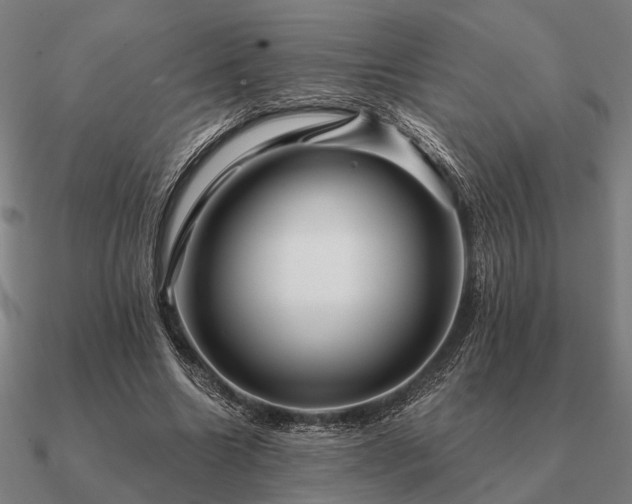 X0000090930538200708061605