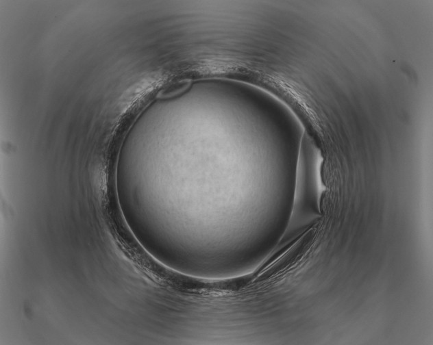 X0000090930539200708061605