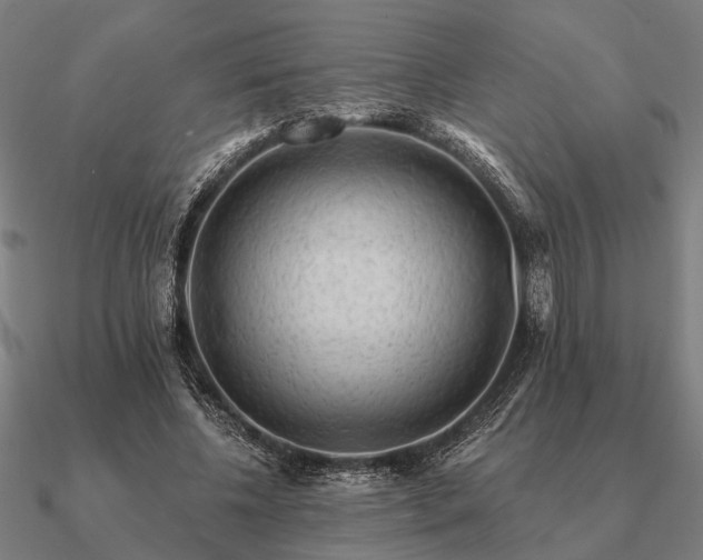 X0000090930540200708061605