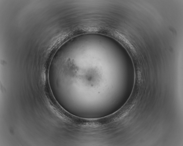 X0000090930541200708061605