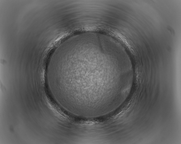 X0000090930542200708061605