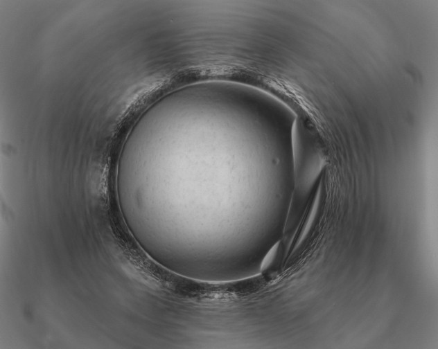 X0000090930543200708061605