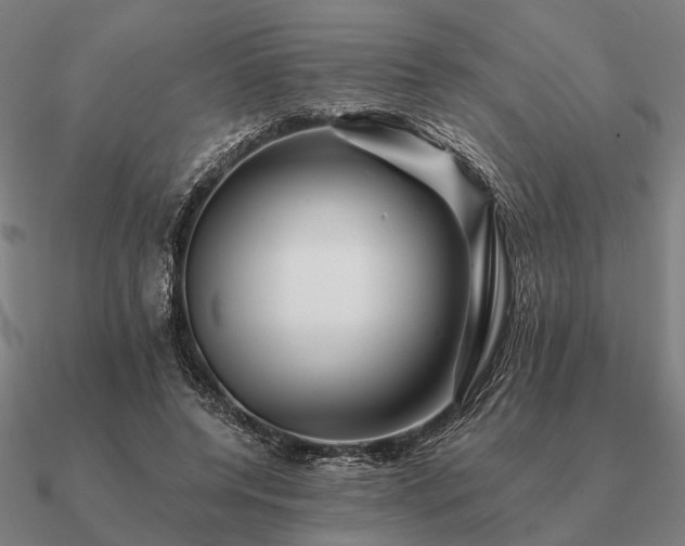 X0000090930544200708061605