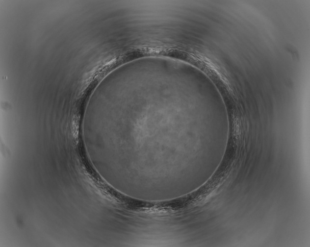 X0000090930545200708061605