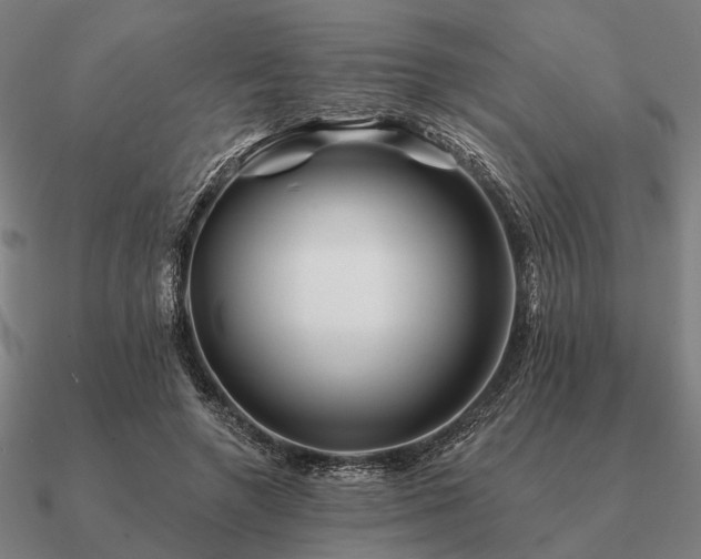 X0000090930546200708061605