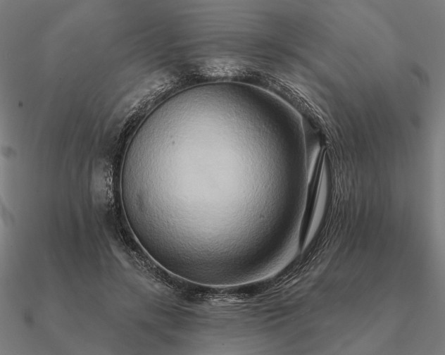 X0000090930547200708061605