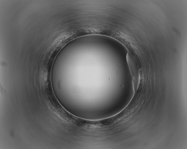 X0000090930548200708061605