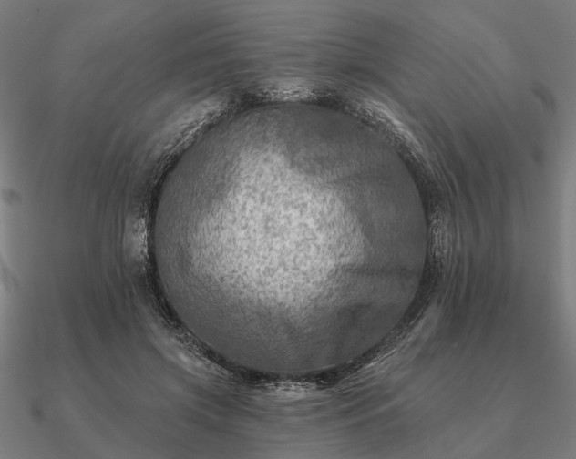 X0000090930549200708061605