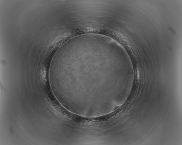 X0000090930550200708061605