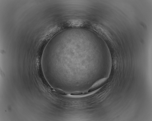 X0000090930551200708061605