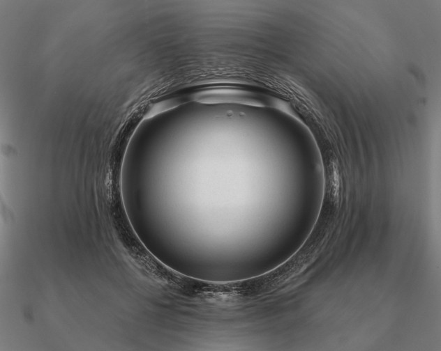 X0000090930552200708061605