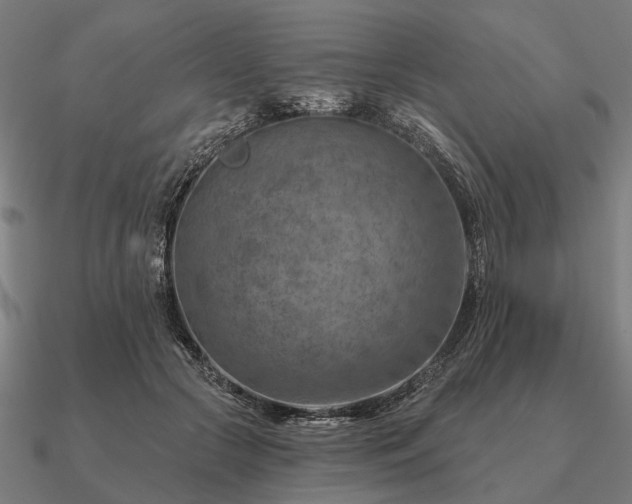 X0000090930553200708061605