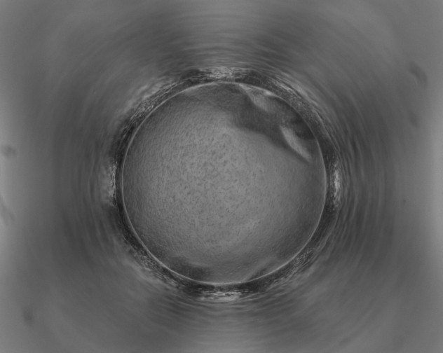 X0000090930554200708061605