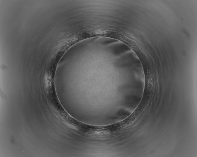 X0000090930555200708061605