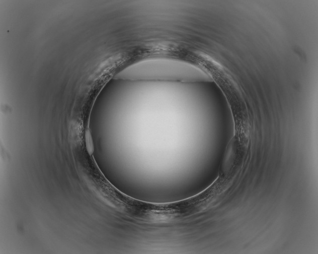 X0000090930556200708061605