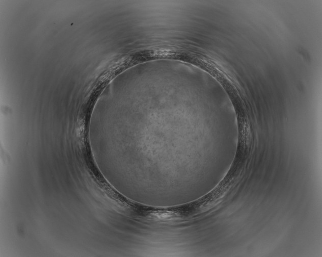 X0000090930557200708061605