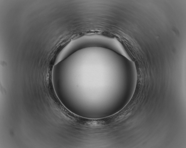 X0000090930558200708061605