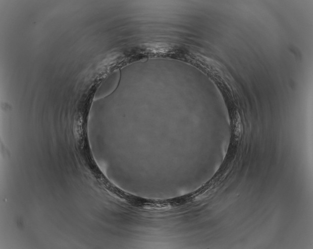 X0000090930559200708061605