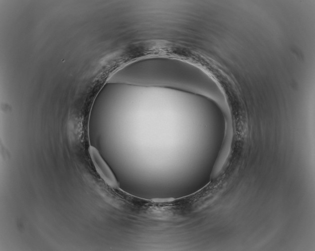 X0000090930560200708061605