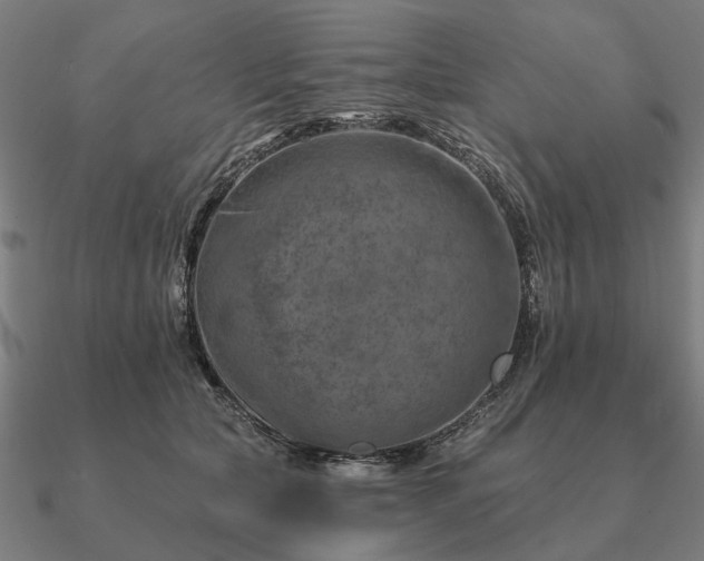 X0000090930561200708061605