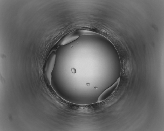 X0000090930562200708061605