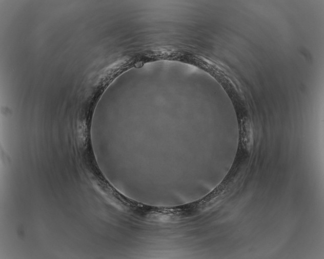 X0000090930563200708061605