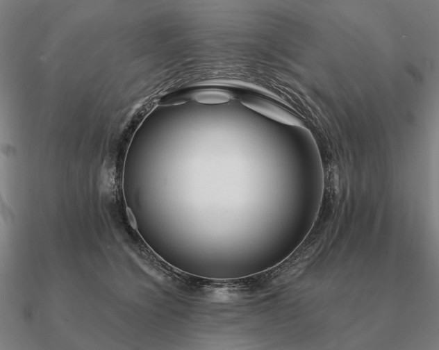 X0000090930564200708061605