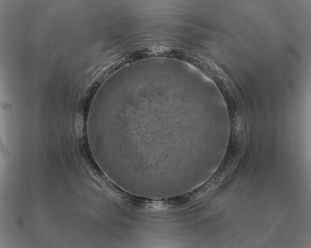 X0000090930565200708061605